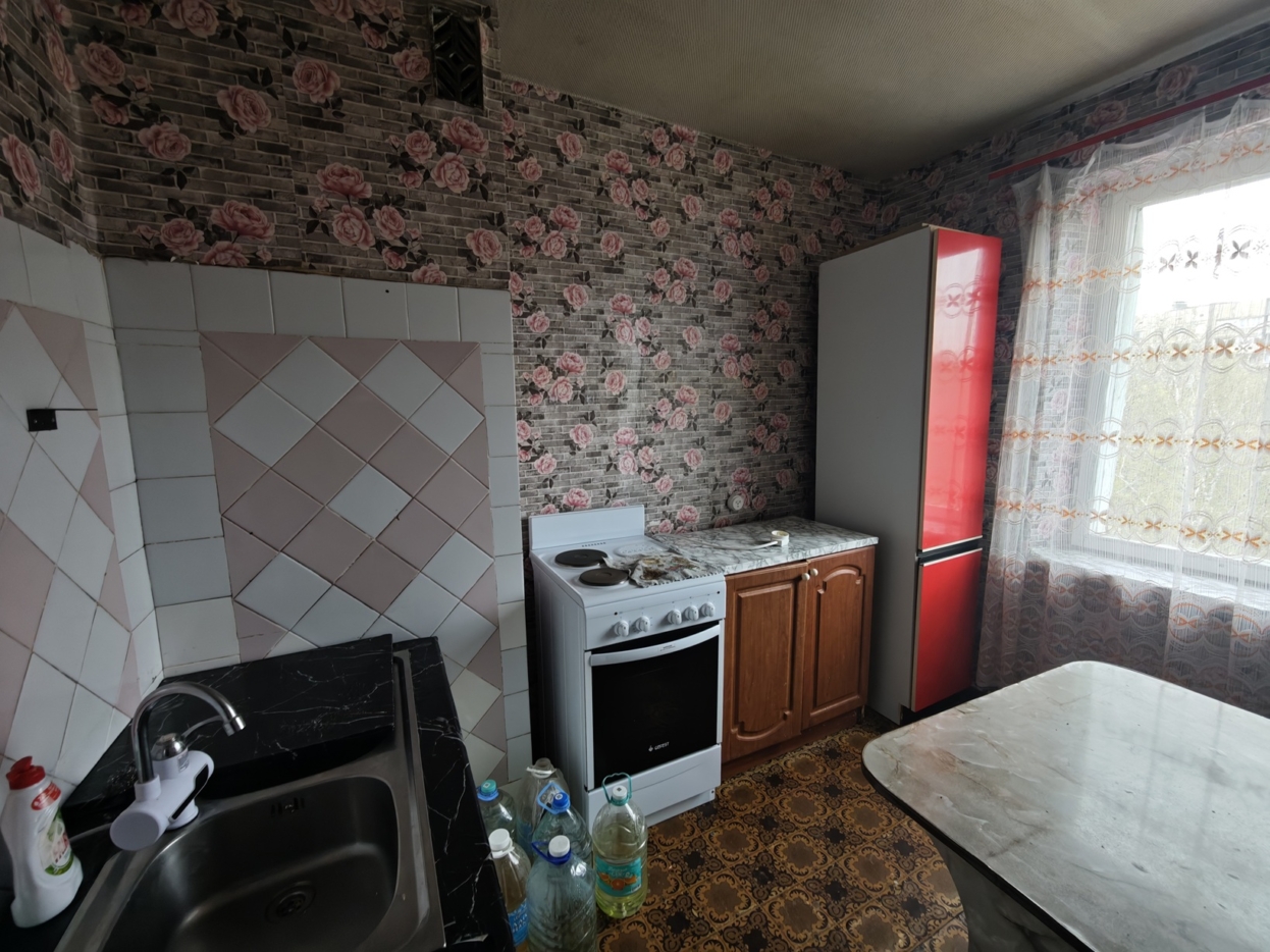 Добрый кот (6)