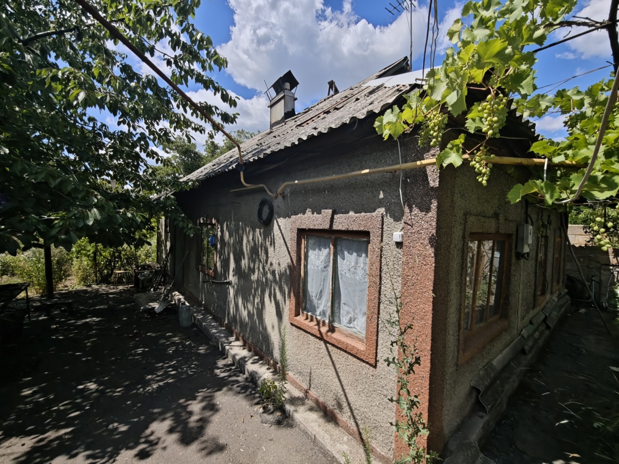 Добрый кот (2)